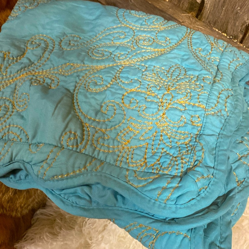 NWOT Turquoise Embroidered Pillow Shams